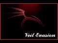 Veil Linux 2017 Set Up and How To Use It