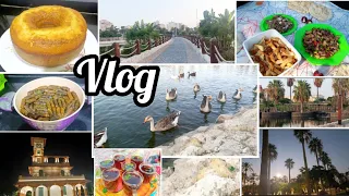 فلوج يوم كامل في المنتزة بعد التجديد أكلنا محشي و كيك مع العيلة في أجواء الطبيعة 