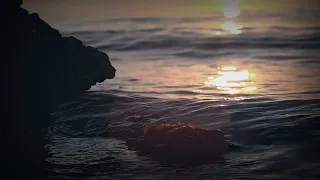 مقاطع نوال الكويتيه دندنها