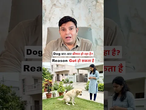Dog बार-बार बीमार हो रहा है❓ Reason Gut हो सकता है❗️