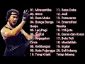 Download Lagu Kumpulan Lagu Rhoma Irama
