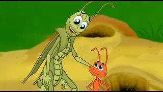 a cigarra e a formiga fabula desenho animado infantil com os amiguinhos