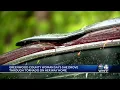 Greenwood County woman believes she drove through tornado