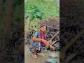 Download Lagu Inak Jibon ge Borbaad chabai na | Sujita Ck #shorts #santali #santalivideo #santhali #santhalivideo