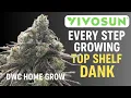 Lagu The Ultimate Guide to Growing DANK at Home | DWC Seed-to-Harvest Documentary
