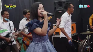 Download Salam Tresno - Renika Puri - New Buana Live Private MP3