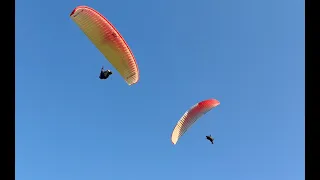 flight and fun