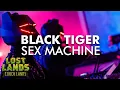 Black Tiger Sex Machine Live @ Lost Lands 2022 - Full Set
