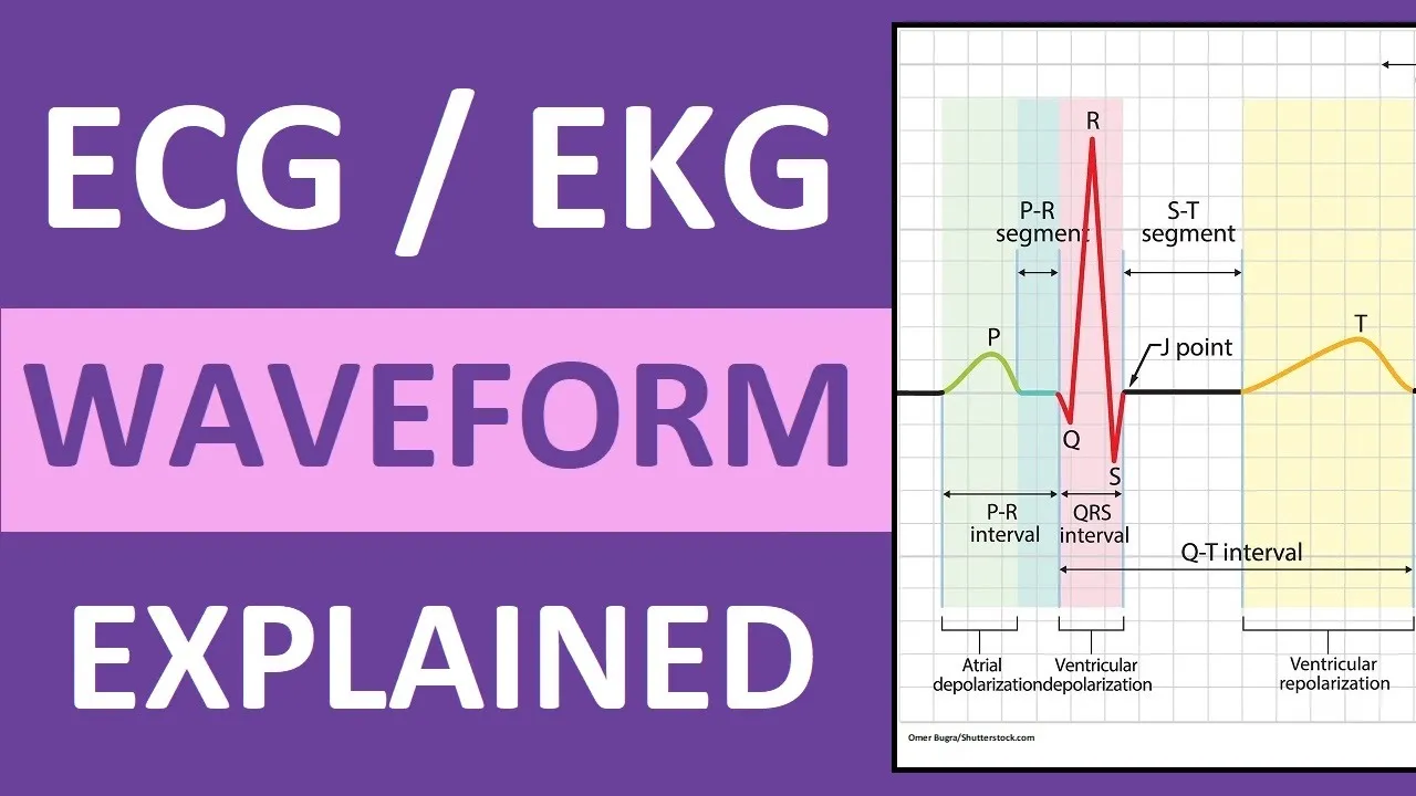 ECG Waveform Explained and Labeled | ECG Interpretation Nursing NCLEX