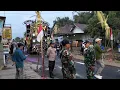 Download Lagu LIVE KARNAVAL NGEMBAL WAJAK