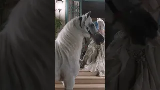 متل الاميرة 17 09 2025  متل الاميرة 17 09 2025