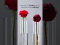 Download Lagu Make your flowers last longer #shorts
