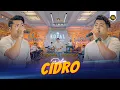 Download Lagu DELVA - CIDRO ( Official Live Video Royal Music )