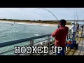 Is Sebastian Inlet the Best Fishing Spot in the World