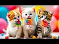 Download Lagu Kalau Kau Suka Hati Tepuk Tangan ❤️ Lagu Anak Indonesia Viral Terbaru