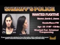 Warrant Wednesday 2015