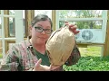 Prevent carpenter bees NO TRAP needed - DIY fake wasp nest