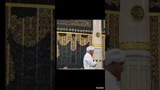 طه محمد بلل نسايم الليل هبي وجيبي الأبيض خي الصالحين  طه محمد بلل نسايم الليل هبي وجيبي الأبيض خي الصالحين