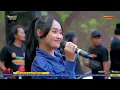 Lagu OM ADELLA (Liku Liku Nurma Paeja)Live Wadok Gondang Sugio Lamongan 25 JAN 2026