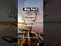 Download Lagu If a boy ignores you it means...😱 #shorts #psychologyfacts