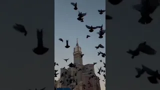 تصميم انشودة الهي واسع الكرم بصوت المنشد يوسف الايوب تصويري مكة المكرمة 