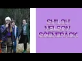 SHILOH NELSON SCENEPACK SAB