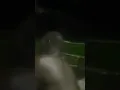 kidung doa arwa