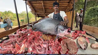 SHOCKING SIZE! 😱 40kG HUGE Monster Catla Fish Cutting and Selling at an Authentic Village Stall