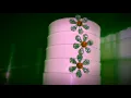 Willy Ray- Ice On My Face (Official Music Video)