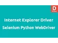 Internet Explorer Driver using Selenium 2 Python