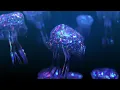 ☆ 8 HOURS ☆ UNDERWATER SOUNDS with MUSIC ♫ ☆ Relaxing Sleep Music, Stress Relief, Jellyfish