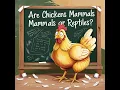 Chickens Uncovered Exploring Their True Classification - Are They Reptiles or Mammals