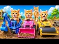 Mama Cat Trims Fur on the Farm and Makes Tiger Hat For Kittens At Home