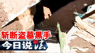 《今日说法》“6・20” 系列文物犯罪案：玉米地下暗藏玄机 深挖4年数百件珍贵文物能否顺利“回家”？20260904 | 今日法案