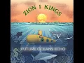 Distant Shore Dub