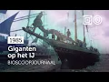 Download Lagu 📽️ Sail Amsterdam #1985