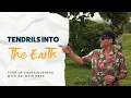 Lagu Tendrils Into the Earth, Tour of Consciousness with Dr Dain Heer