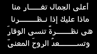 علي الجمال تغار منا 