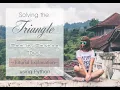 Solving the Triangle Codility Sorting Test Explained - Full Tutorial Explanation Python Learning