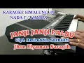 Download Lagu KARAOKE JANJI JANJI PALSU SIMALUNGUN JHON ELYAMAN SARAGIH NADA WANITA