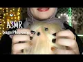 ASMR Check Your Hair For Lice And Pluck bugs 🐜 Mouth sounds background (massage \u0026 scratching)