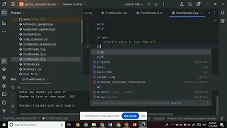Lesson 17 Conditionals if else Part 3 Python Tutorials