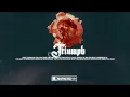 [FREE] Burna Boy type beat x Jhus Type Beat 2021 | Afroswing Instrumental - "Triumph"