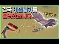 Download Lagu 잉어는 무지하게 커졌는데 천적이 떴습니다.. [은별 둠벙 10]