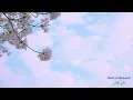 Download Lagu My heart soars (قلبي طائر) - Badr al-Hamoudi
