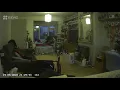 Pet owner captures the ghost of her dead cat curled up on her sofa