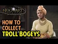How to Collect Troll Bogeys Professor Onai s Assignment Walkthrough Hogwarts Legacy