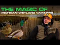 Hot Take Michigan Wetland Wonders - Managed Waterfowl Area For Duck Hunting