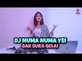 Download Lagu DJ NUMA NUMA YEI SLOW REMIX X GA SUKA GELAY TERBARU 2021 (DJ KIMUT REMIX)