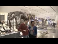 Inclusive Spaces Making Museums Accessible